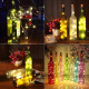 FAIRY LIGHT (with bottle)