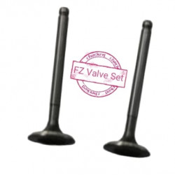 FZ INTAKE ENGINE VALVE