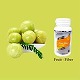 FRUIT FIBER