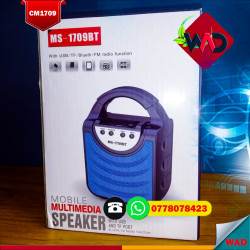 Mobile Multimedia Speaker MS - 1710BT