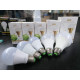 12W Screww type LED high power