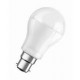 20w Orin Led Light Bulbs