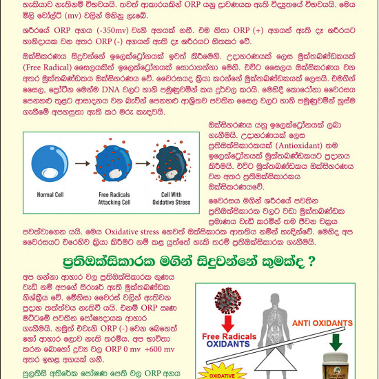 පුලතිසි පෙති (Pulatisi Pethi)