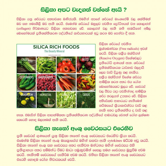 පුලතිසි පෙති (Pulatisi Pethi)