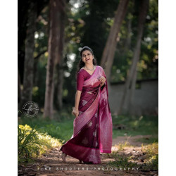 Banarasi Saree with blouce
