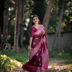 Banarasi Saree with blouce