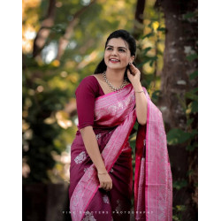 Banarasi Saree with blouce