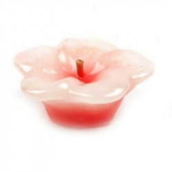 Perfume Candles  සුවඳ ඉටිපන්දම් (5 Pcs ) Pack