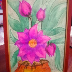 Pot of Lotus Flowers