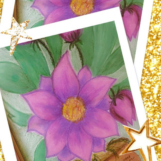 Pot of Lotus Flowers
