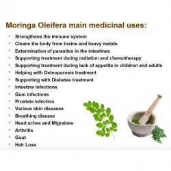 MORINGA CAPSULE