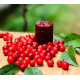 Lovi Jam (ලොවි ජෑම්)