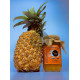 Pineapple Jam (අන්නාසි ජෑම්) Pineapple Jam (අන්නාසි ජෑම්)