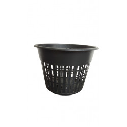 Orchid Pot