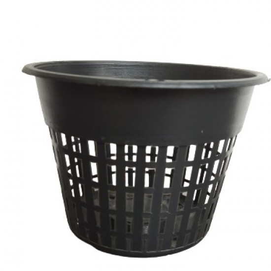 Orchid Pot