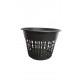 Orchid Pot