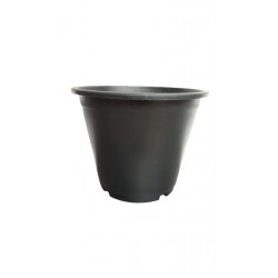 Flower Pot