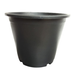 Flower Pot
