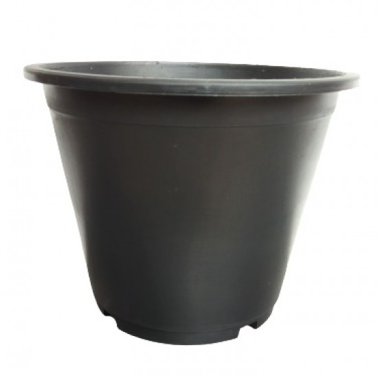 Flower Pot