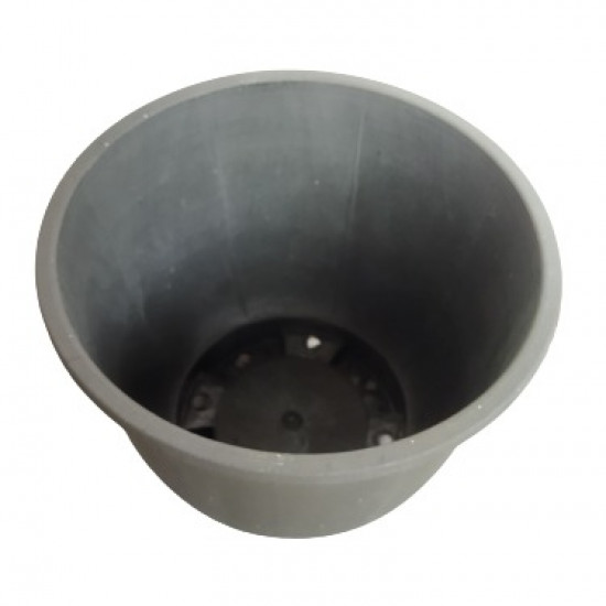 Croton Pot Croton Pot