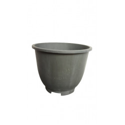 Croton Pot
