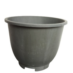 Croton Pot