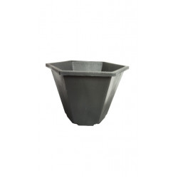 Six Side Pot