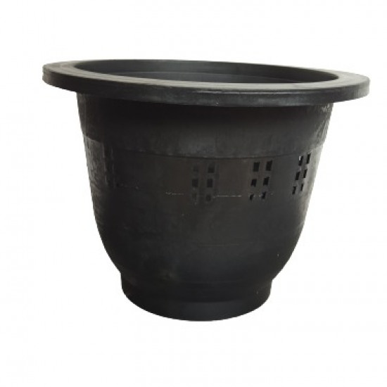 Anthurium Pot Anthurium Pot