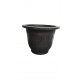 Anthurium Pot Anthurium Pot