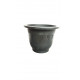 Anthurium Pot