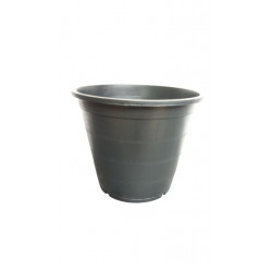 Dis Pot