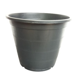 Dis Pot