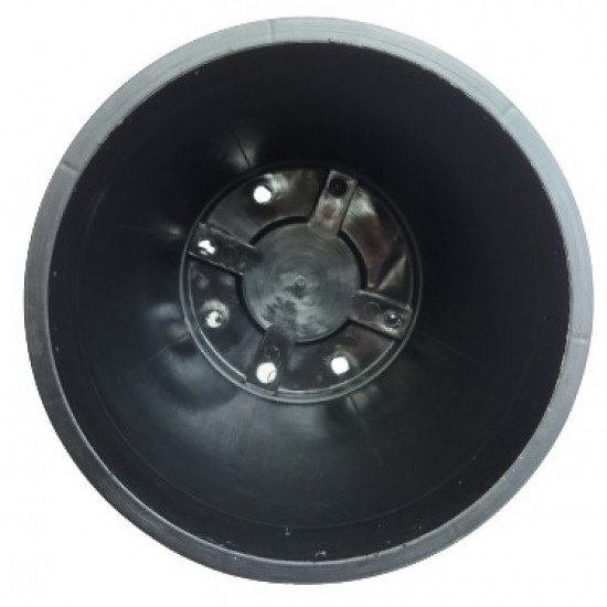 Araliya Pot 