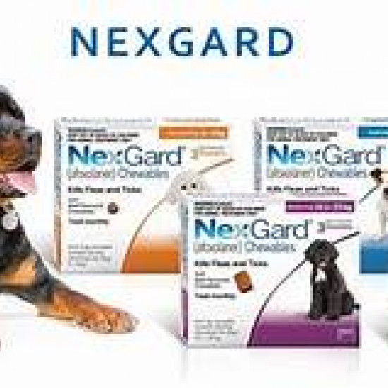 NexGard 25-50Kg