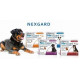 NexGard 25-50Kg