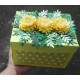 3D Gift box 3D Gift box