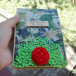 Twist and Pop up card