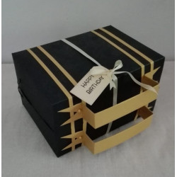 Memory Suitcase