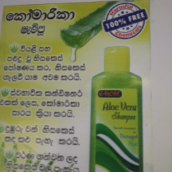 Alovera Shampoo