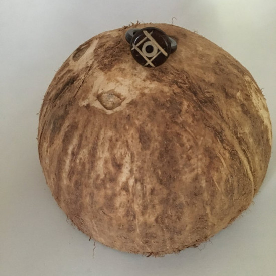 Coconutshell Women Ring