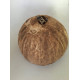 Coconutshell Women Ring