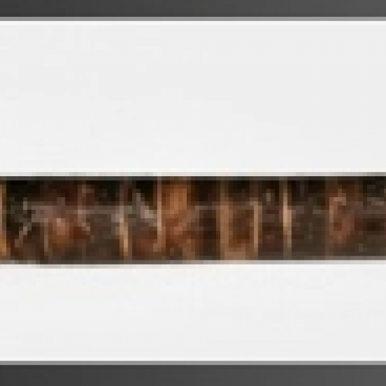 Coconut shell pen