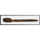 Coconut shell pen