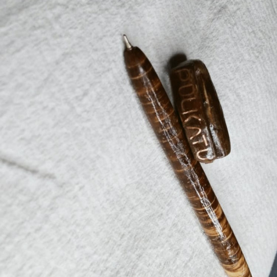 Coconut shell pen Coconut shell pen