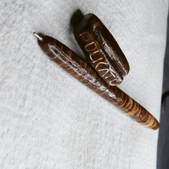 Coconut shell pen Coconut shell pen