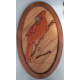 RED CARDINAL WALL DECOR/S.JAYASINGHA WOOD CRAFT. RED CARDINAL WALL DECOR/S.JAYASINGHA WOOD CRAFT.
