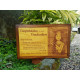 Personalized Engraved Wooden Photo Plaque