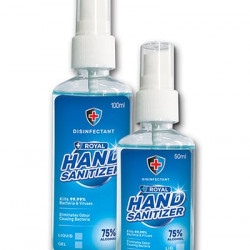Hand Sanitizer Spray 100ml