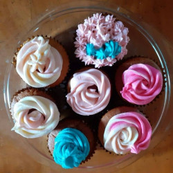 Vanilla Cup Cakes