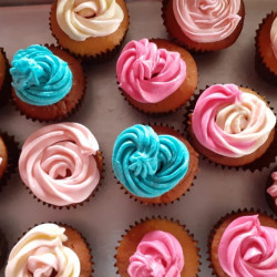 Vanilla Cup Cakes